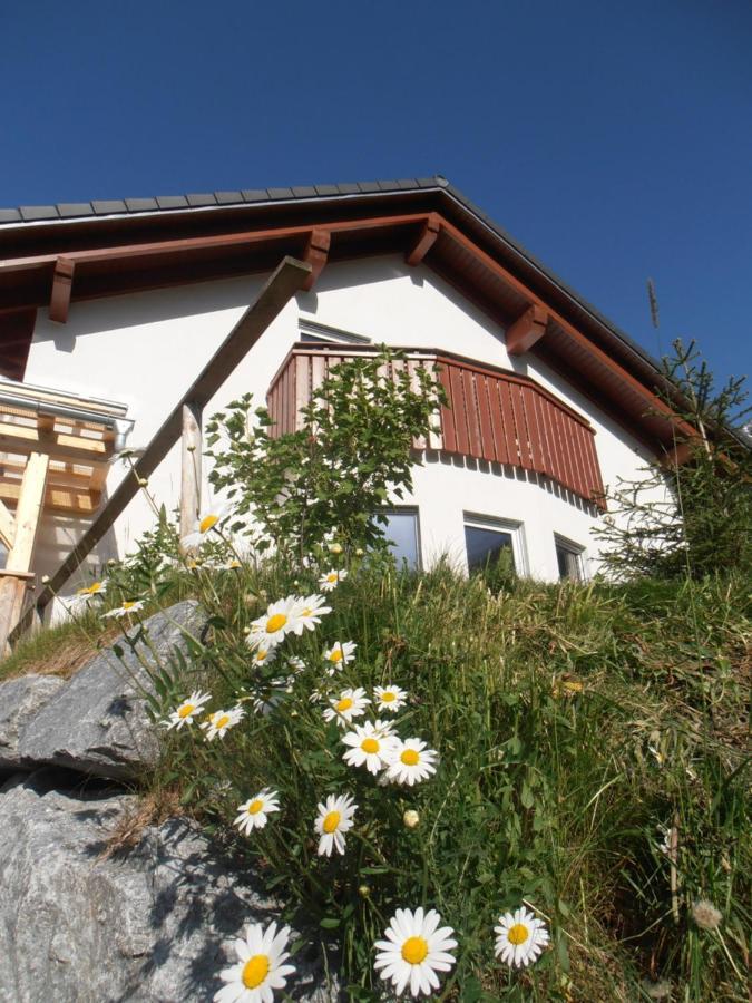 Appartement Arlalpin à Pettneu am Arlberg Extérieur photo